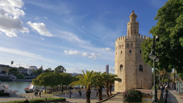 s270 torre doro